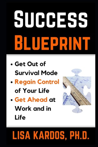 Success Blueprint Get Out of Survival Mode, Regain Control of Your Life, and Get Ahead at Work and in Life