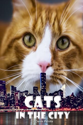 Cats in the City