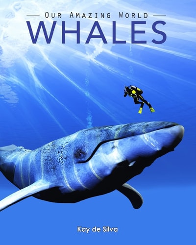 Whales Amazing Pictures & Fun Facts on Animals in Nature