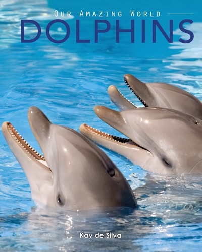 Dolphins Amazing Pictures and Fun Facts on Animals in Nature