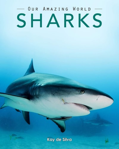 Sharks Amazing Pictures & Fun Facts on Animals in Nature
