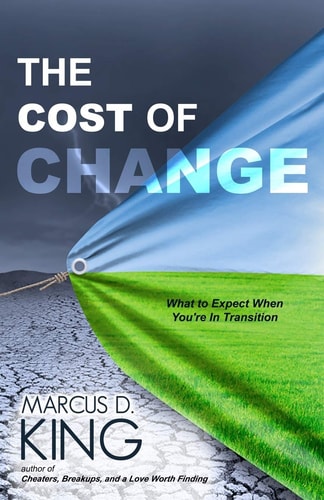 The Cost of Change What to Expect When You're in Transition