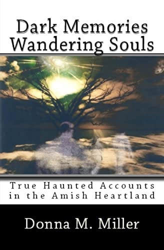 Dark Memories Wandering Souls