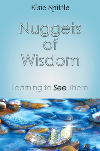 Nuggets of Wisdom Learning to See Them