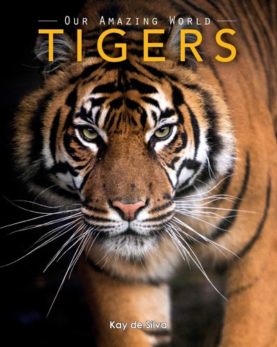 Tigers Amazing Pictures & Fun Facts on Animals in Nature