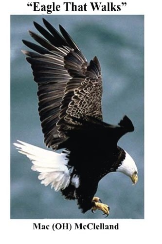 "Eagle That Walks"
