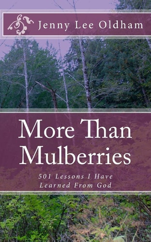 More Than Mulberries 501 Lessons I Have Learned From God