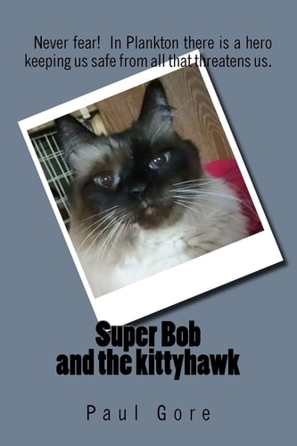 Super Bob and the Kittyhawk