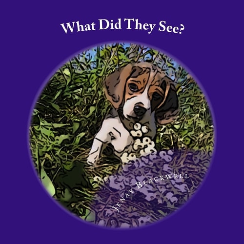 What Did They See? An Interactive Children's Book
