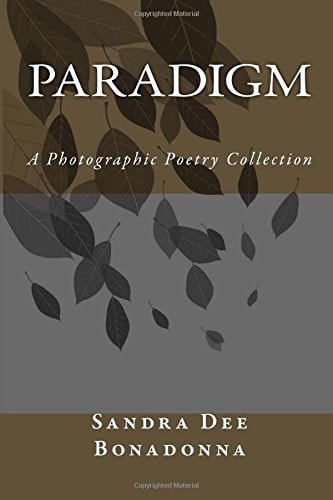 Paradigm A Photographic Poetry Collection