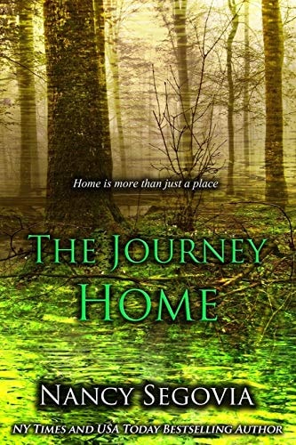 The Journey Home Sometimes Home Is More Than Just a Place