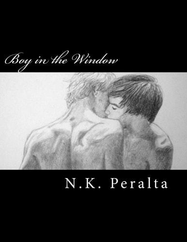 Boy in the Window A Gay Youth Coming Out Story