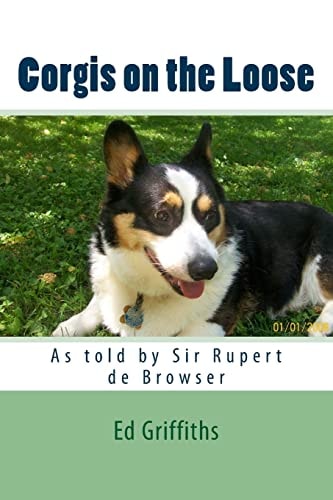 Corgis on the Loose Rupert and Rosie