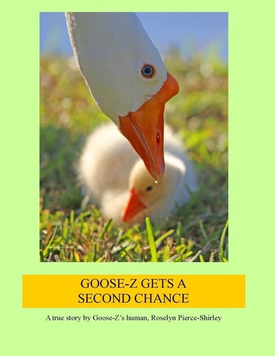 Goose-Z Gets a Second Chance A True Story by Goose-Z's Human, Roselyn Pierce-Shirley