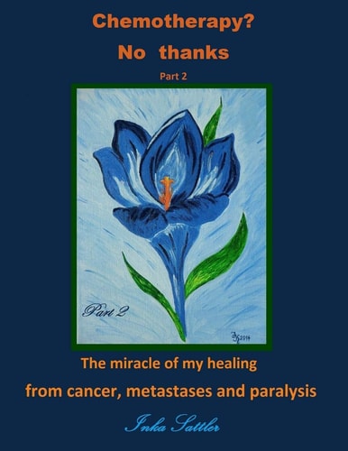 Chemotherapy? No Thanks The Miracle of My Healing from Cancer, Metastases And