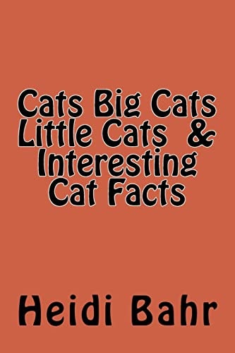 Cats Big Cats Little Cats and Interesting Cat Facts