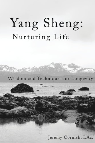 Yang Sheng: Nurturing Life Wisdom and Techniques for Longevity