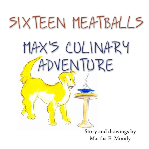 Sixteen Meatballs Max's Culinary Adventure
