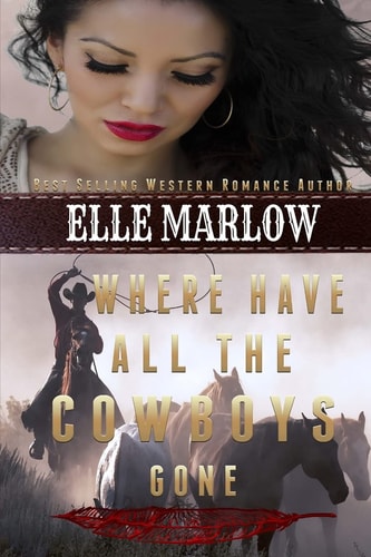 Where Have All The Cowboys Gone