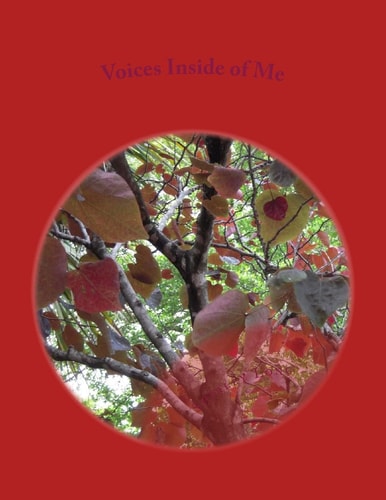 Voices Inside of Me Voices Please Go Away