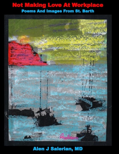 Not Making Love At Workplace Poems And Images From St Barth For Night Reading