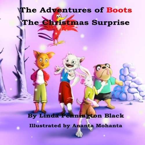 The Adventures of Boots The Christmas Surprise
