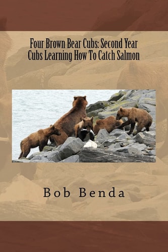Four Brown Bear Cubs Second Year Cubs Learning How To Catch Salmon