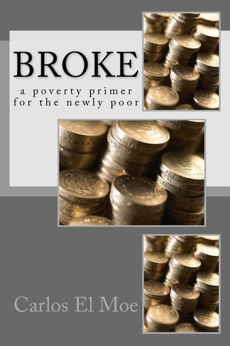 Broke A Poverty Primer for the Newly Poor