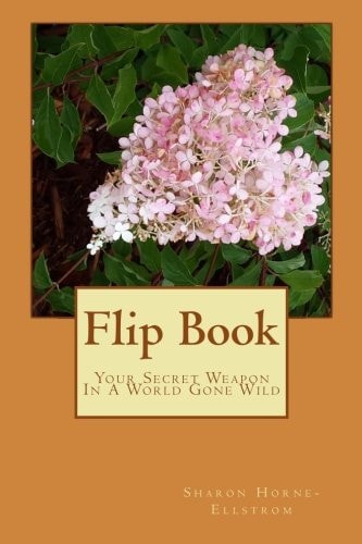 Flip Book Your Secret Weapon In A World Gone Wild