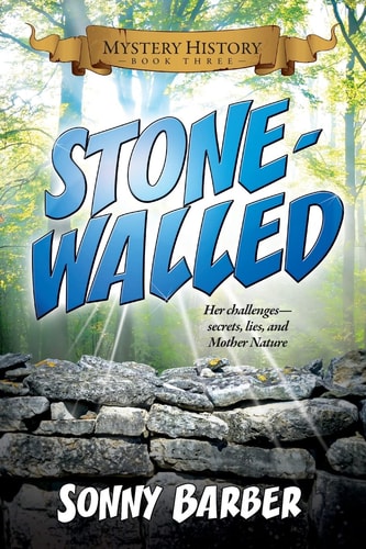 Stonewalled Mystery History Book Three