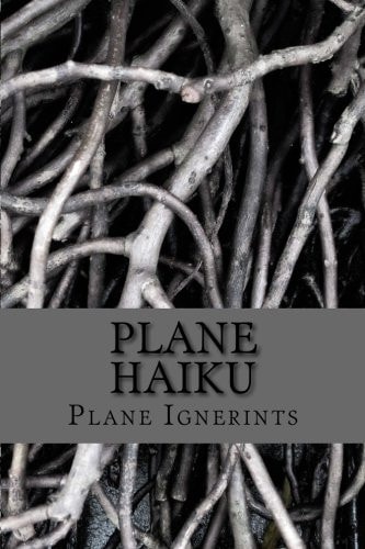 Plane Haiku