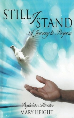 Still I Stand A Journey to Purpose