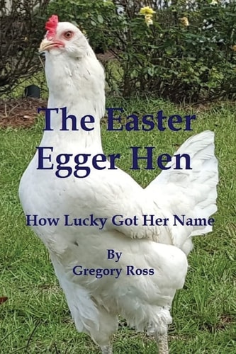 The Easter Egger Hen How Lucky Got Her Name