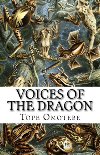 Voices of the Dragon