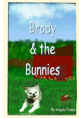 Brody and the Bunnies