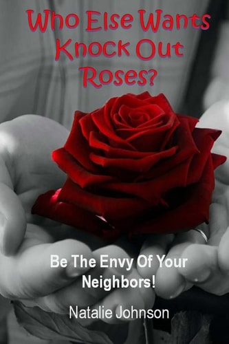 Who Else Wants Knockout Roses? Be The Envy Of Your Neighbor!