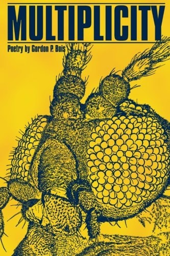 Multiplicity Poetry by Gordon P. Bois