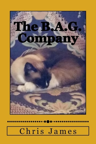 The B. A. G. Company