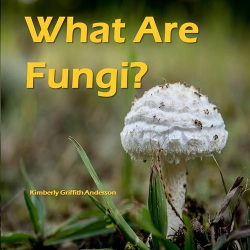 What Are Fungi?