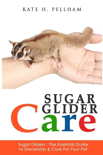 Sugar Gliders The Essential Guide to Ownership & Care for Your Pet