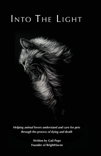 Into the Light Helping Animal Lovers Understand and Care for Pets Through the Process of Dying and Death