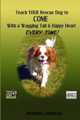 Teach Your Rescue Dog to Come with a Wagging Tail and Happy Heart Every Time