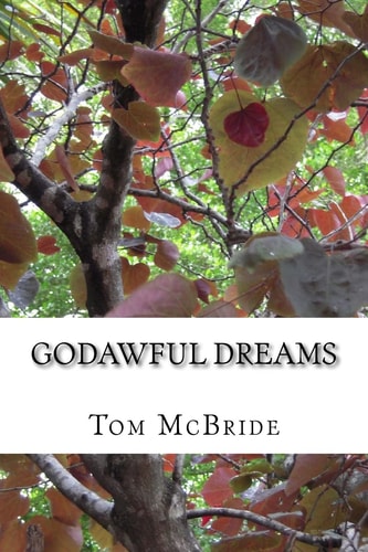 Godawful Dreams Two Tales of Academic Scandal