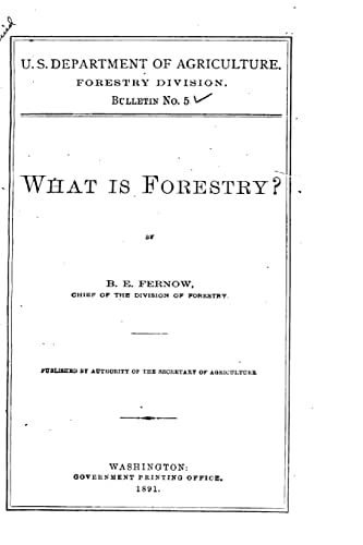 What Is Forestry?