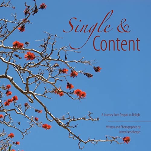 Single and Content A Journey from Despair to Delight