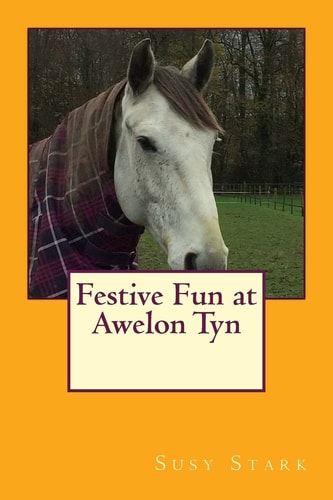 Festive Fun at Awelon Tyn