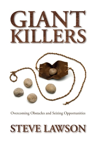Giant Killers Overcoming Obstacles and Seizing Opportunities