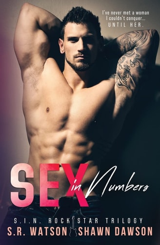 Sex in Numbers (S. I. N. Rock Star Trilogy)