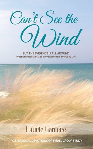 Can't See the Wind But the Evidence Is All Around - Practical Insights of God's Involvement in Everyday Life