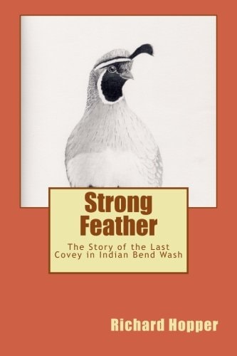 Strong Feather The Story of the Last Covey in Indian Bend Wash